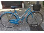 Donna classica con cestino