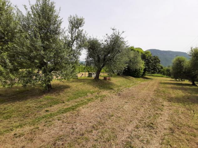 Terreno Agricolo - Roè Volciano . Rif.: 001 TA Trobiolo - Foto 10