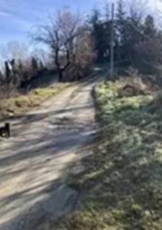 Immobile in asta di 501 m² con più di 5 locali in vendita a Morsasco - Foto 7