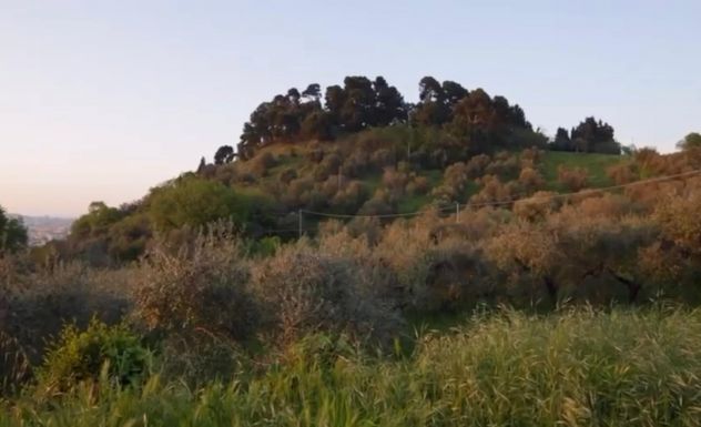 Tenuta Colle Orlando - Foto 4