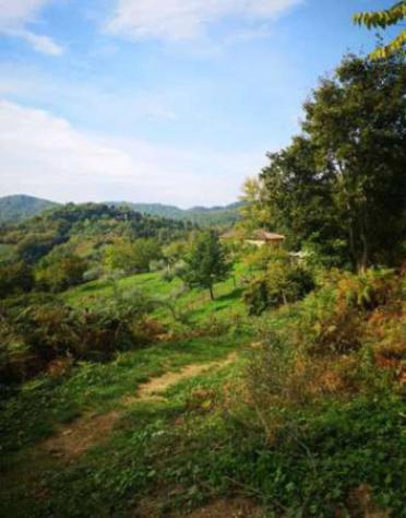 Immobile in asta di 54494 m² in vendita a Barberino di Mugello - Foto 15