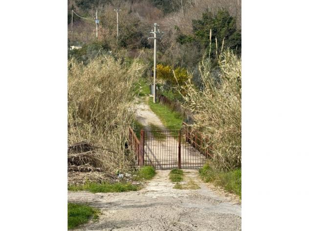 Agricolo in Via Trinità - Foto 9