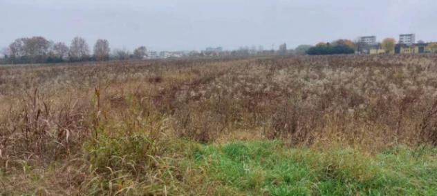 Immobile in asta di 64986 m² in vendita a San Donà di Piave - Foto 2
