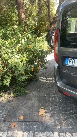 Fiat Doblò Combi Cargo 1.6 MJT 105 SX - Foto 2