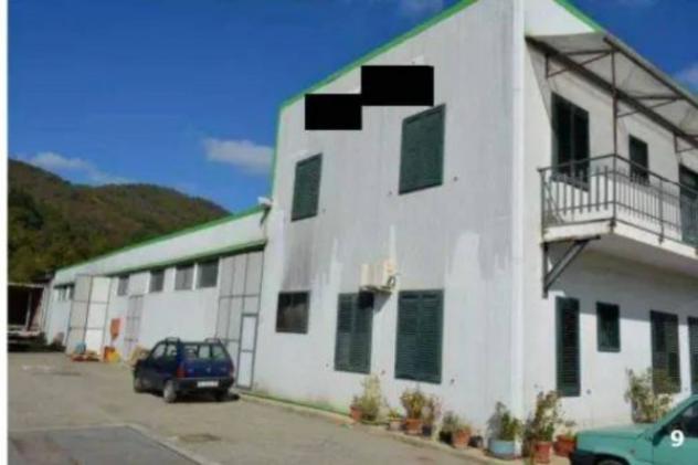Immobile in asta di 1305 m² in vendita a Cicala - Foto 4