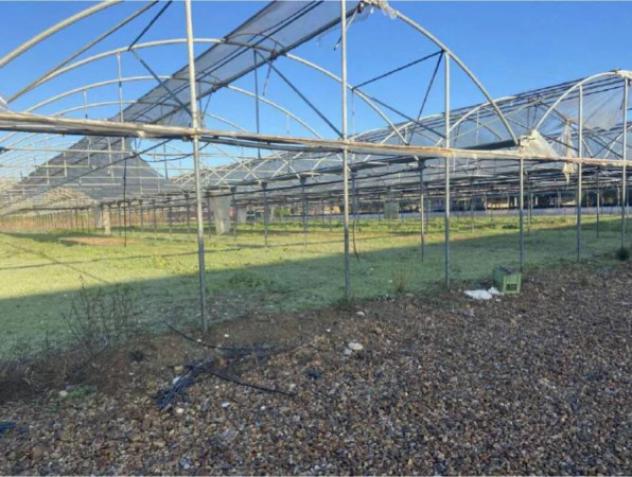 Immobile in asta di 10494 m² in vendita a Elmas - Foto 5