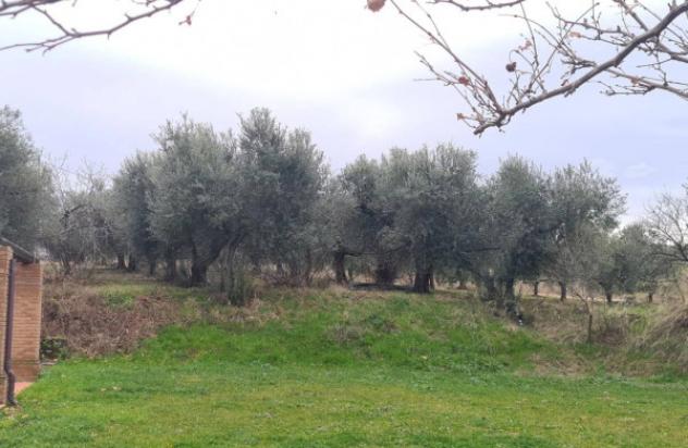 Immobile in asta di 325 m² con più di 5 locali in vendita a Larino - Foto 2