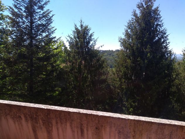 Camera singola grande a Urbino zona Scienze Motorie Ospedale Euro 260 - Foto 4