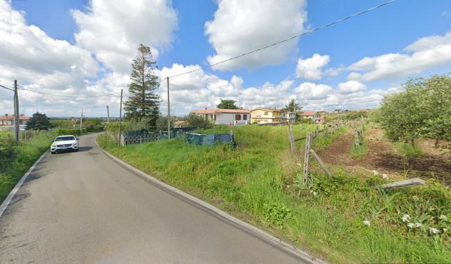 Agricolo in Via Tor Paluzzi - Foto 5
