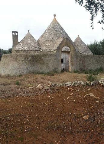 TRULLO STORICO CON TERRENO DI MQ 8.000 - ALTO SALENTO - Foto 3