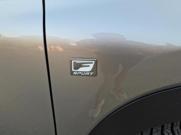 Lexus NX 300h Hybrid 4WD CV-197 F-Sport E6 Automatico 2014 - Foto 7