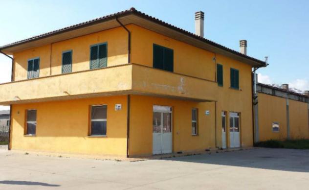 Immobile in asta di 542 m² con più di 5 locali in vendita a Acquapendente - Foto 2