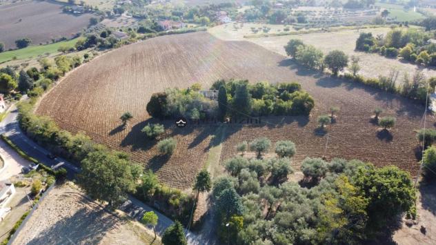 Cartoceto (pu) posizionato su un'altura che domina l'intera vallata del metauro fino alle principali spiagge di fano, non lontano dall'asse viario del - Foto 4
