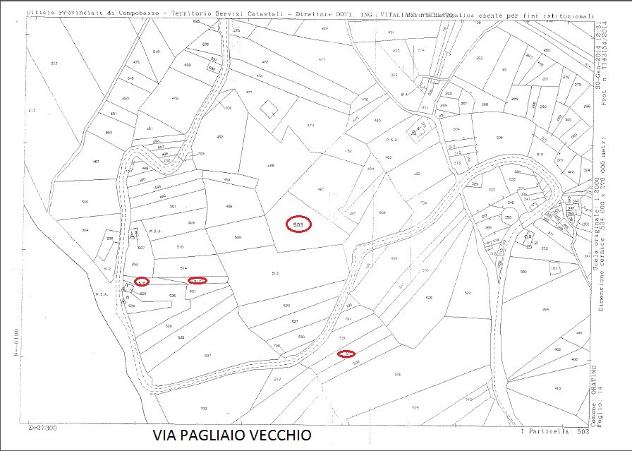 Privato terreno coltivabile mq 17000