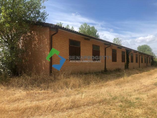 Splendida Azienda Agricola con scuderia per cavalli e vista su Siena - Foto 15
