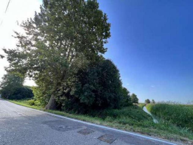 Immobile in asta di 14236 m² in vendita a Isola della Scala - Foto 9