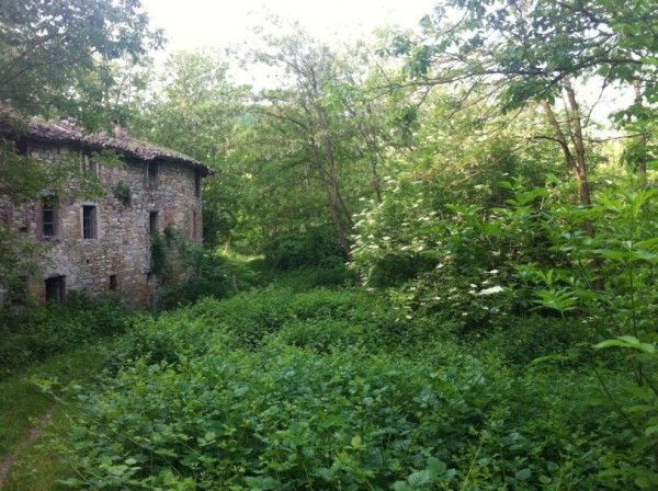 Rustico ex mulino in sassi vic.ze ruscello con terreno 3 ettari - Foto 9