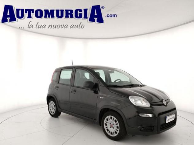 FIAT Panda 1.0 FireFly S&S Hybrid rif. 23987293