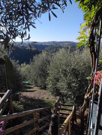 Bungalow in vendita a Peccioli 20 mq Rif: 1353834 - Foto 6