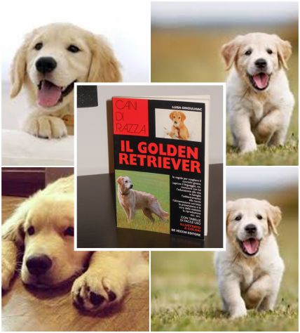 IL GOLDEN RETRIEVER, LUISA GINOULHIAC, Giovanni De Vecchi Editore 1995. - Foto 3