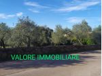 SASSARI LOCALITA' LA LANDRIGGA