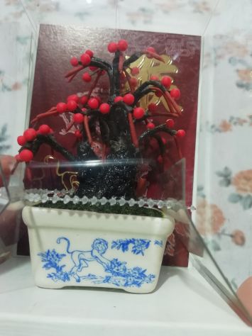 bonsai - Foto 4