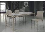 Tavolo con piano in vetro struttura in metallo Cod 009M