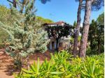 Villa in vendita a Castiglioncello - Rosignano Marittimo 300 mq  Rif: 986019