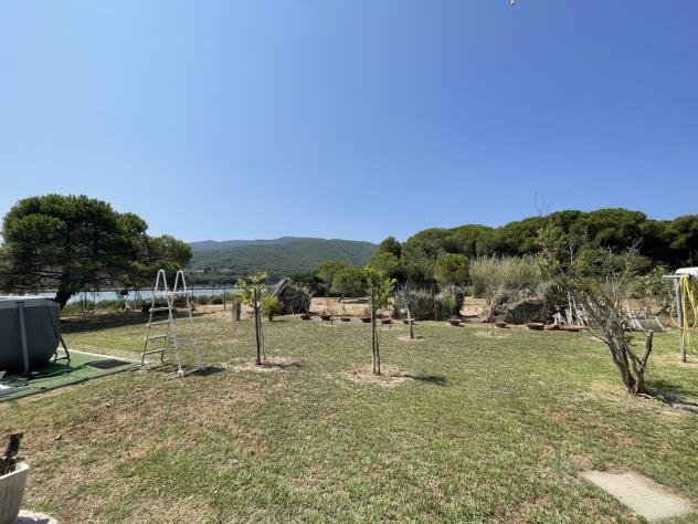Seminativo in vendita a Orbetello - Foto 8