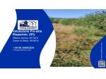 Immobile in asta di 1570 m² in vendita a Perugia