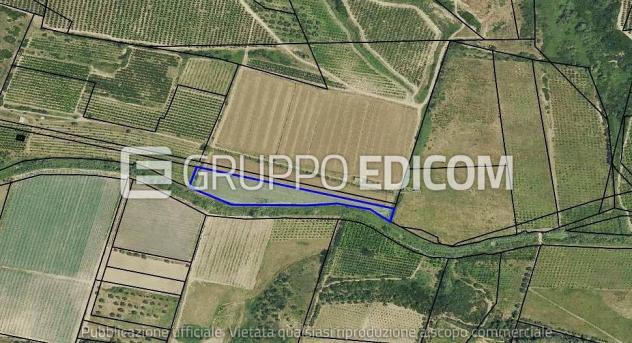 Terreno in vendita a Tursi - Rif. 4555879 - Foto 3