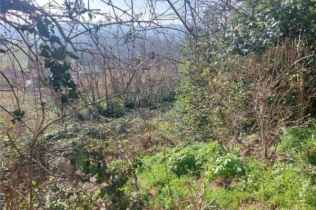 Immobile in asta di 975 m² in vendita a Vallefoglia - Foto 2