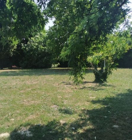 Singola abitabile con terreno - Foto 6