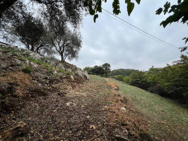 Terreno edificabile in vendita a Barbarano Mossano - Foto 6