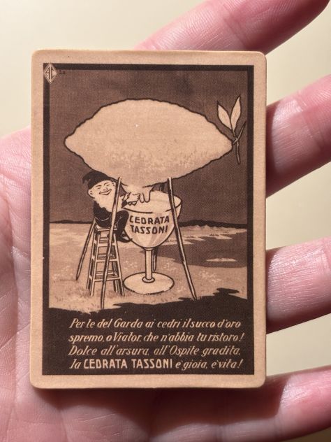 CALAMITA/MAGNETE NUOVA QUASI INTROVABILE DA COLLEZIONE ORIGINALE CEDRATA TASSONI - Foto 7