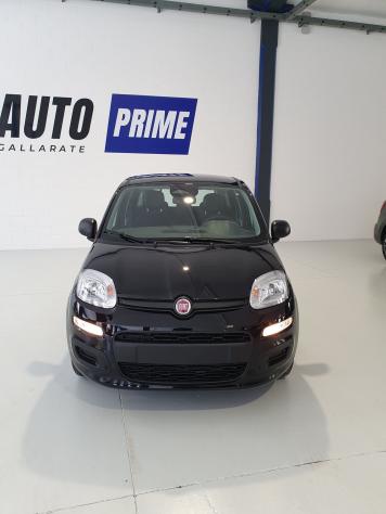 FIAT Pandina Pandina 1.0 firefly hybrid Icon s&s 65cv - Foto 2