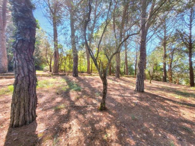Immobile in asta di 583 m² con più di 5 locali in vendita a Monte Castello di Vibio - Foto 12