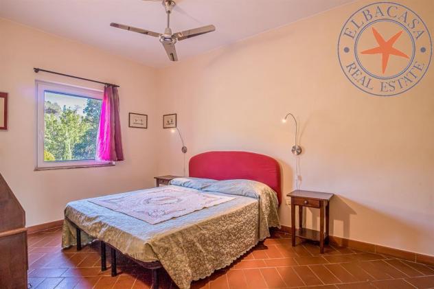 PORTO AZZURRO - ELBA - TRILOCALE IN CASALE - Foto 17
