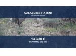 Immobile in asta di 40310 m² in vendita a Calascibetta