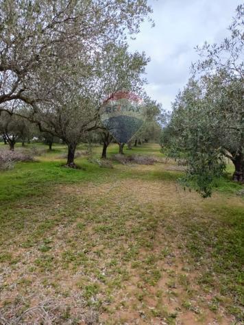 Terreno in vendita a Caltagirone, Santo Pietro - Foto 15