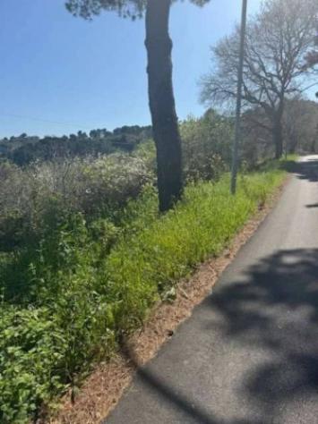 Immobile in asta di 6965 m² in vendita a Montesilvano - Foto 3