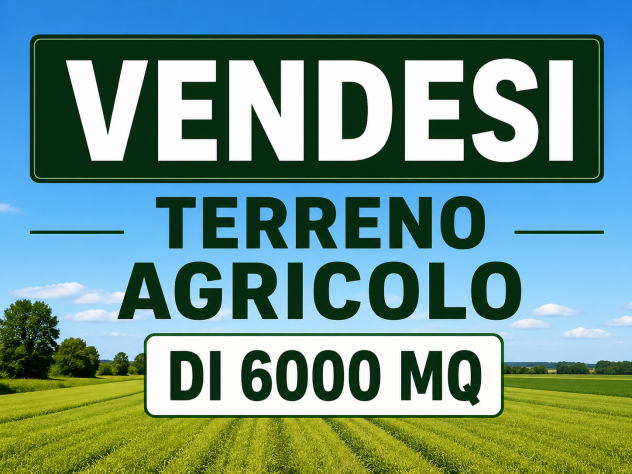 Terreno agricolo di circa 6.000 mq