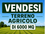 Terreno agricolo di circa 6.000 mq