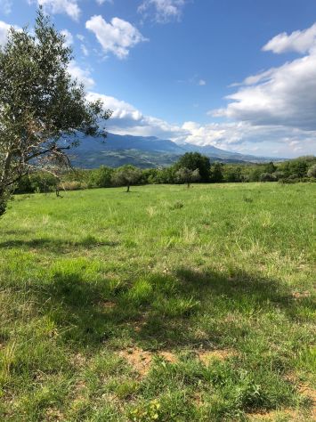 Ampia Tenuta Agricola in Abruzzo