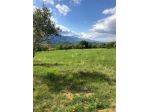 Ampia Tenuta Agricola in Abruzzo