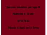 2 APPARTAMENTI ALL'ASTA A VILLA LITERNO