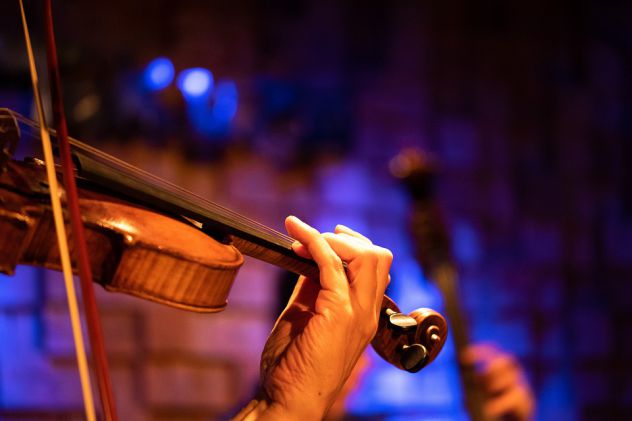 Violinista