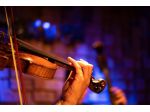 Violinista