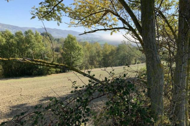 Immobile in asta di 377790 m² in vendita a Cagli - Foto 3
