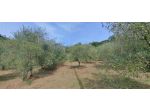 Terreno agricolo in vendita a Castelfranco di Sotto 5340 mq  Rif: 1452784